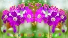 ֹ,㶫󷨵ӹףʦ(29)
