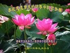 ֹ,Ϋ󷨵ӹףʦ(27)
