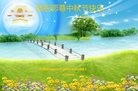 ֹ,󷨵ӹףʦ(18)
