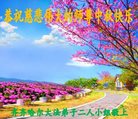 ֹ,󷨵ӹףʦ(23)