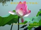 ֹ,ൺ󷨵ӹףʦ(21)

