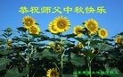 ֹ,Ϋ󷨵ӹףʦ(28)
