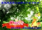 法轮功,重庆大法弟子恭祝师尊中秋快乐(26条)
