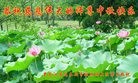法轮功,佳木斯大法弟子恭祝师尊中秋快乐(19条)
