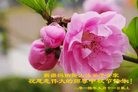 ֹ,½󷨵ӹףʦ(28)