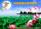 Published on 9/13/2016 ���ֹ�,����ҵ�󷨵��ӹ�ףʦ���������(37��)
