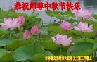 ֹ,ʡ󷨵ӹףʦ(24)

