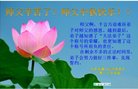 ֹ,󷨵ӹףʦ(22)