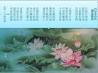 ֹ,󷨵ӹףʦ(26)
