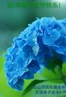 ֹ,ʡ󷨵ӹףʦ(24)
