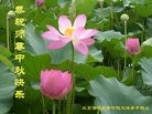 ֹ,󷨵ӹףʦ(26)
