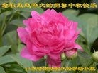 ֹ,ϴ󷨵ӹףʦ(27)
