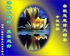 ֹ,ϴ󷨵ӹףʦ(25)
