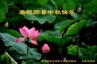法轮功,四川大法弟子恭祝师尊中秋快乐(25条)
