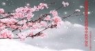 ֹ,ľ˹󷨵ӹףʦ(22)