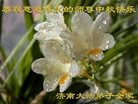 ֹ,ϴ󷨵ӹףʦ(27)
