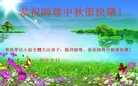 ֹ,ൺ󷨵ӹףʦ(21)
