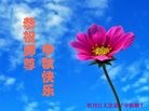 ֹ,󷨵ӹףʦ(21)
