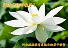 Published on 9/13/2016 ���ֹ�,����ϵͳ�󷨵��ӹ�ףʦ���������(26��)
