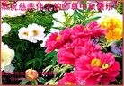 ֹ,󷨵ӹףʦ(26)
