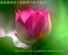 ֹ,󷨵ӹףʦ(24)