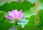 ֹ,󷨵ӹףʦ(26)