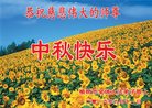ֹ,󷨵ӹףʦ(20)