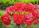 ֹ,󷨵ӹףʦ(20)