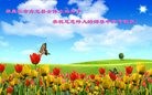 ֹ,ػʵ󷨵ӹףʦ(25)