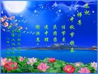 ֹ,Ĵ󷨵ӹףʦ(22)