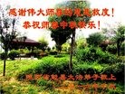 法轮功,陕西大法弟子恭祝师尊中秋好(18条)
