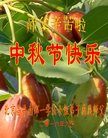 ֹ,󷨵ӹףʦ(20)