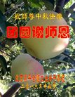 ֹ,󷨵ӹףʦ(20)