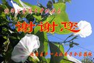 ֹ,󷨵ӹףʦ(20)