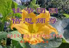 ֹ,󷨵ӹףʦ(23)