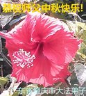 ֹ,㶫󷨵ӹףʦ(20)