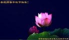 ֹ,ʡ󷨵ӹףʦ(26)