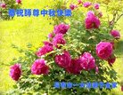 ֹ,󷨵ӹףʦ(20)
