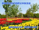 ֹ,󷨵ӹףʦ(20)