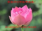 ֹ,ɶ󷨵ӹףʦ(25)