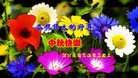ֹ,ӱ󷨵ӹףʦ(21)