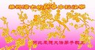 ֹ,ӱ󷨵ӹףʦ(21)