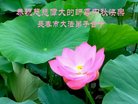 ֹ,󷨵ӹףʦ(18)