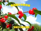ֹ,󷨵ӹףʦ(18)