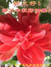 ֹ,Ϋ󷨵ӹףʦ(23)