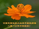 ֹ,󷨵ӹףʦ(19)