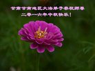 ֹ,󷨵ӹףʦ(19)