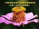 ֹ,󷨵ӹףʦ(23)