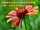 ֹ,󷨵ӹףʦ(23)