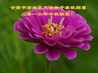 ֹ,󷨵ӹףʦ(23)